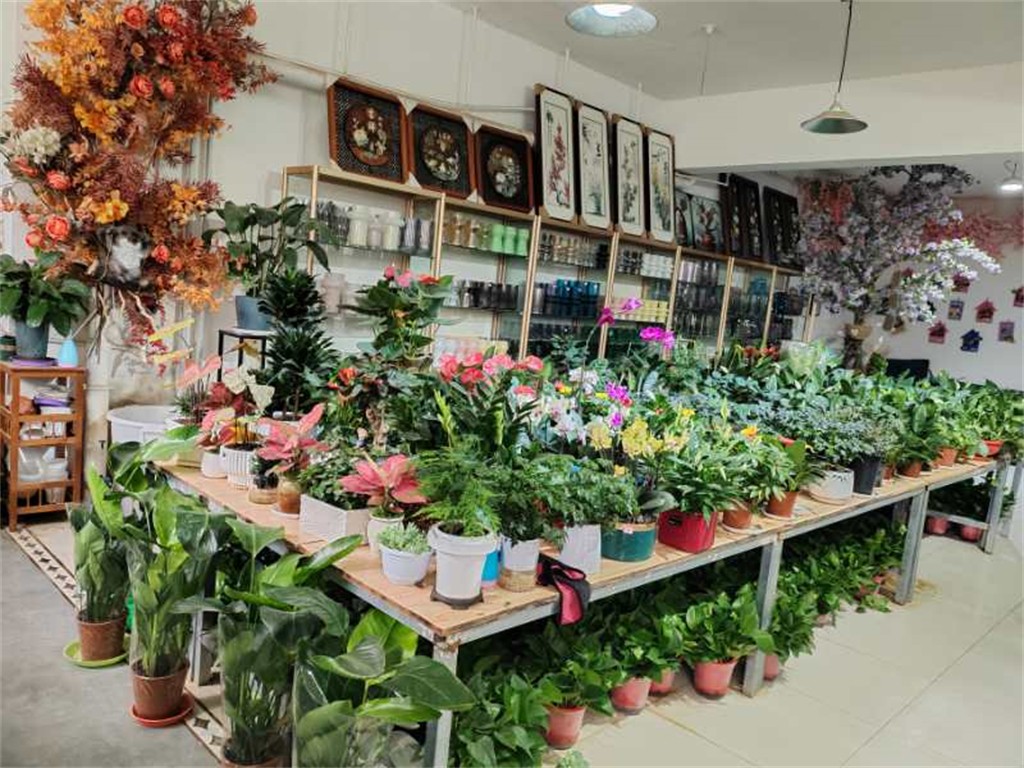博思花藝婚慶教育，婚慶培訓(xùn)，花藝培訓(xùn)，插花培訓(xùn)，花藝師培訓(xùn)，主持人培訓(xùn)，商務(wù)主持人培訓(xùn)，花店運營培訓(xùn)，花店全系統(tǒng)營銷，小白開花店，小白學(xué)主持，金璽棠婚慶酒店，金璽棠總部，鄭州金麻雀教育科技有限公司