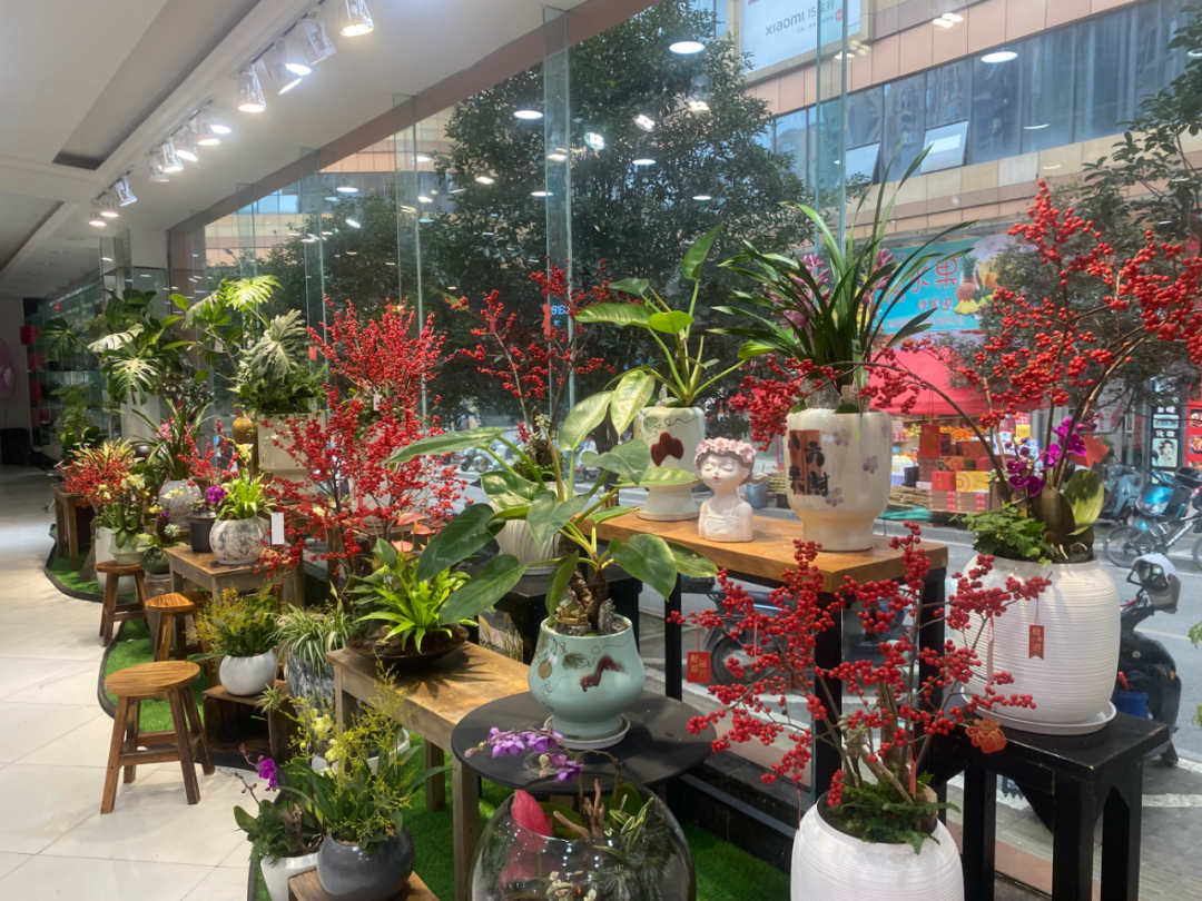 博思花藝婚慶教育，婚慶培訓(xùn)，花藝培訓(xùn)，插花培訓(xùn)，花藝師培訓(xùn)，主持人培訓(xùn)，商務(wù)主持人培訓(xùn)，花店運(yùn)營(yíng)培訓(xùn)，花店全系統(tǒng)營(yíng)銷(xiāo)，小白開(kāi)花店，小白學(xué)主持，金璽棠婚慶酒店，金璽棠總部，鄭州金麻雀教育科技有限公司