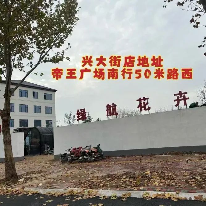 博思花藝婚慶教育，婚慶培訓(xùn)，花藝培訓(xùn)，插花培訓(xùn)，花藝師培訓(xùn)，主持人培訓(xùn)，商務(wù)主持人培訓(xùn)，花店運(yùn)營培訓(xùn)，花店全系統(tǒng)營銷，小白開花店，小白學(xué)主持，金璽棠婚慶酒店，金璽棠總部，鄭州金麻雀教育科技有限公司