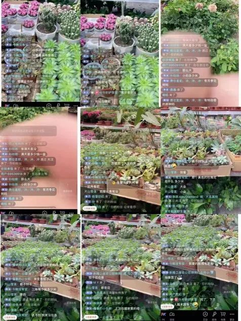 博思花藝婚慶教育，婚慶培訓(xùn)，花藝培訓(xùn)，插花培訓(xùn)，花藝師培訓(xùn)，主持人培訓(xùn)，商務(wù)主持人培訓(xùn)，花店運(yùn)營培訓(xùn)，花店全系統(tǒng)營銷，小白開花店，小白學(xué)主持，金璽棠婚慶酒店，金璽棠總部，鄭州金麻雀教育科技有限公司