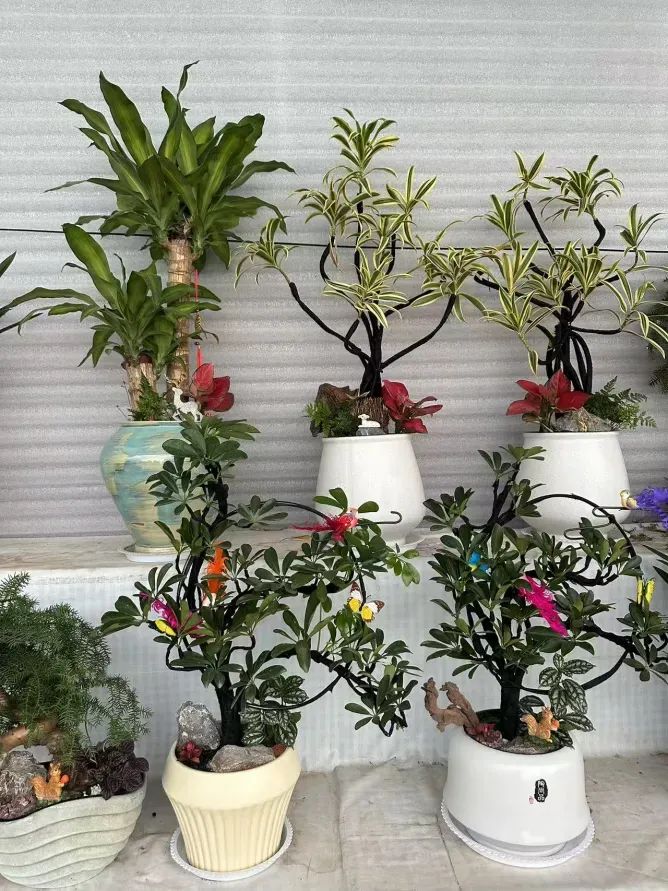 博思花藝婚慶教育，婚慶培訓(xùn)，花藝培訓(xùn)，插花培訓(xùn)，花藝師培訓(xùn)，主持人培訓(xùn)，商務(wù)主持人培訓(xùn)，花店運(yùn)營培訓(xùn)，花店全系統(tǒng)營銷，小白開花店，小白學(xué)主持，金璽棠婚慶酒店，金璽棠總部，鄭州金麻雀教育科技有限公司