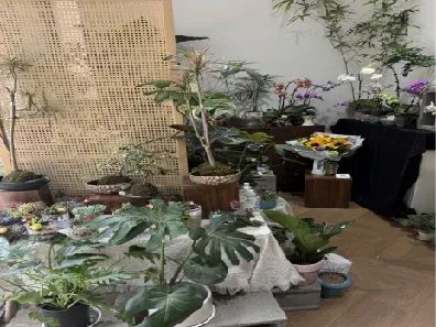 博思花藝婚慶教育，婚慶培訓，花藝培訓，插花培訓，花藝師培訓，主持人培訓，商務主持人培訓，花店運營培訓，花店全系統(tǒng)營銷，小白開花店，小白學主持，金璽棠婚慶酒店，金璽棠總部，鄭州金麻雀教育科技有限公司